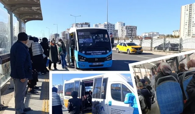 Diyarbakır’da ücretsiz toplu taşıma genişliyor | Yeni özel halk otobüsleri hizmete girecek