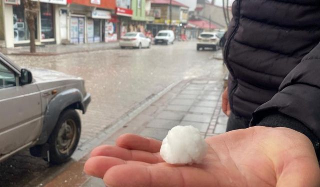 Bingöl'ü dolu vurdu