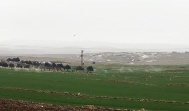 Yağmur yağarken tarlalar elektrikle sulandı