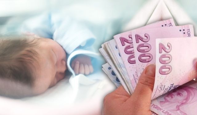 Doğum destek ödemelerine rekor başvuru