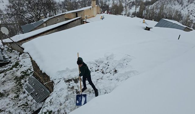 Van'da kısa süreli kar yağışı şehri esir aldı