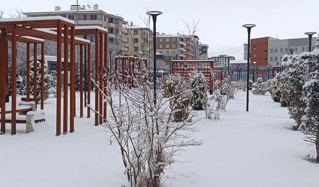 Meteorolojiden uyarı: O illerde kuvvetli kar geliyor