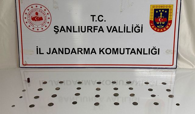 Şanlıurfa’da tarihi eser operasyonu