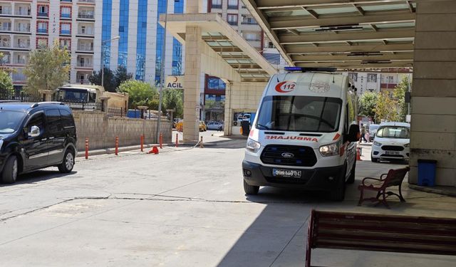 Atın ısırdığı 6 yaşındaki çocuk ağır yaralandı