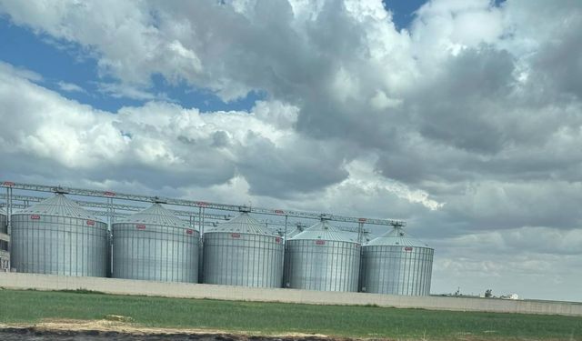 Mardin'de 100 bin tonluk buğday vurgunu