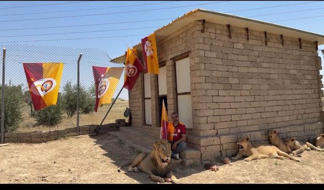 Diyarbakırlı iş insanıi galatasay'ın şampiyonluğunu aslanlarıyla kutladı