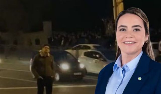 Alparslan Türkeş'in mezarında kızına saldırı girişimi