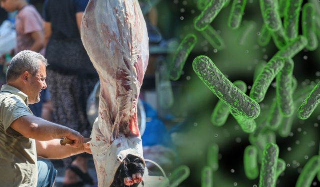 Kurban Bayramı yaklaşırken "salmonellaya"  dikkat!