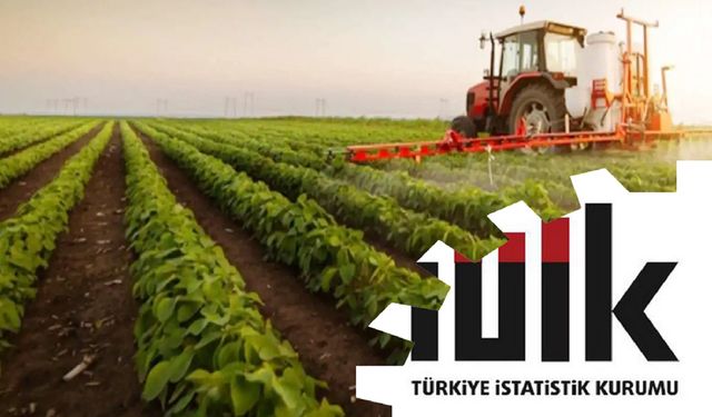 Haziranda tarım ÜFE rekor kırdı
