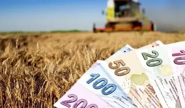 Çiftçilere destekleme ödemesi bugün yapılacak