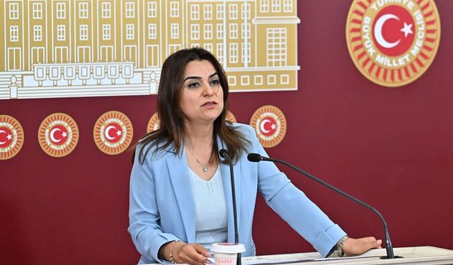 DEM Partili Koçyiğit’ten ‘Süreç Komisyonu’ açıklaması