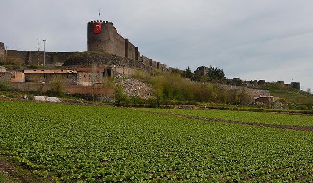DİTAM’dan UNESCO Dünya Mirası Alanı için yol haritası arayışı
