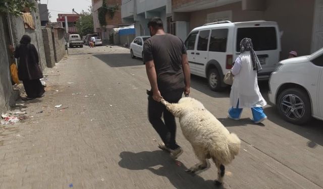 Diyarbakır'da kurban alımı son güne bırakıldı