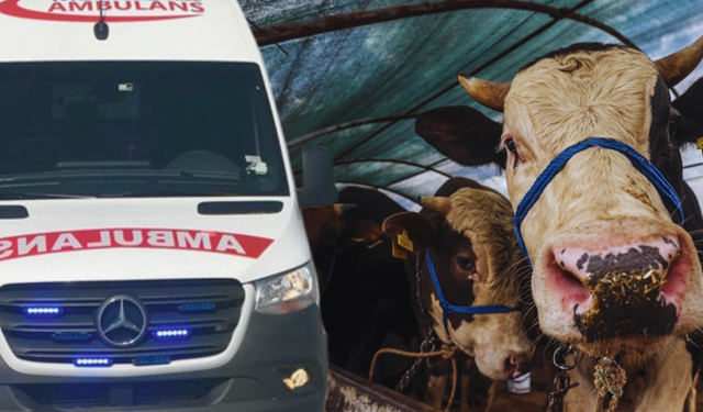 Bayramın birinci günü 14 binden fazla kişi hastanelik oldu