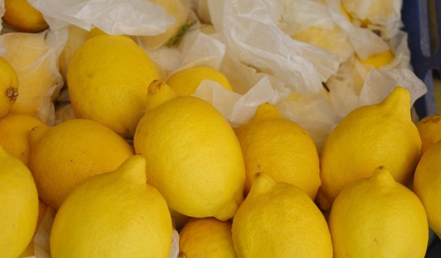 Fiyat artışında limon zirvede