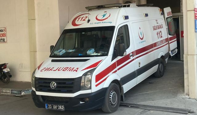 Mersin'de 275 acemi kasap hastaneli oldu