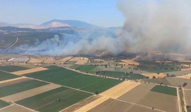 İzmir'de orman yangınına havadan ve karadan müdahale
