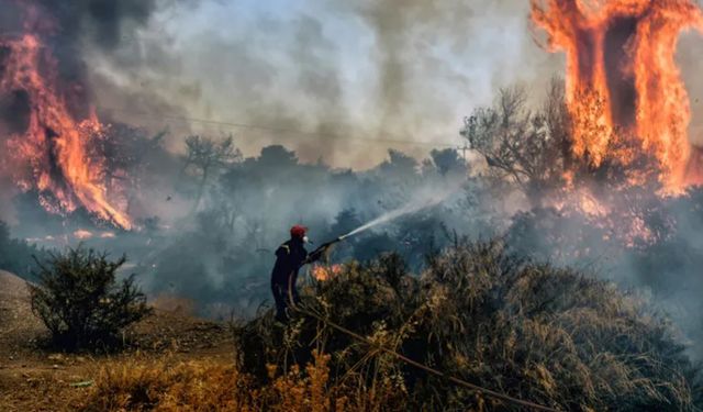 Bolu'da orman yangını: Havadan ve karadan müdahale sürüyor