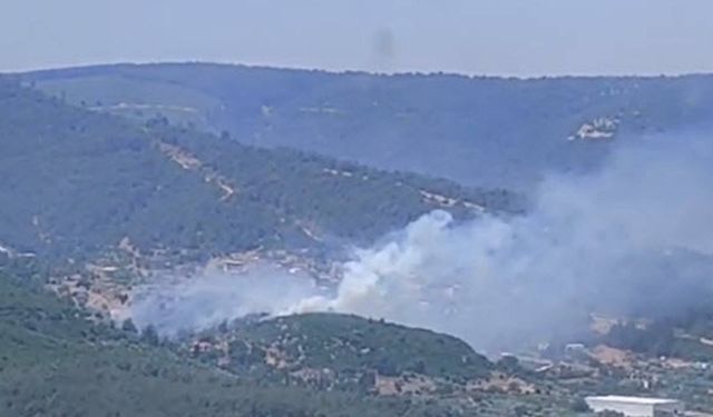 Diyarbakır’da ormanlık alanda korkutan yangın