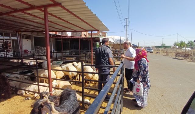 Diyarbakır’da seyirlik ‘Kurbanlık’ dönemi