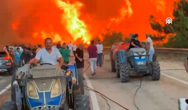 Video Haber | Bursa'da orman yangınında zorlu anlar