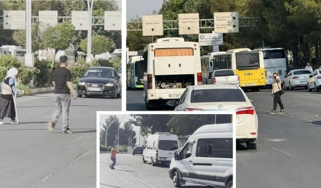 Diyarbakır’da Üniversite yerleşkesinde yaya güvenliği yok