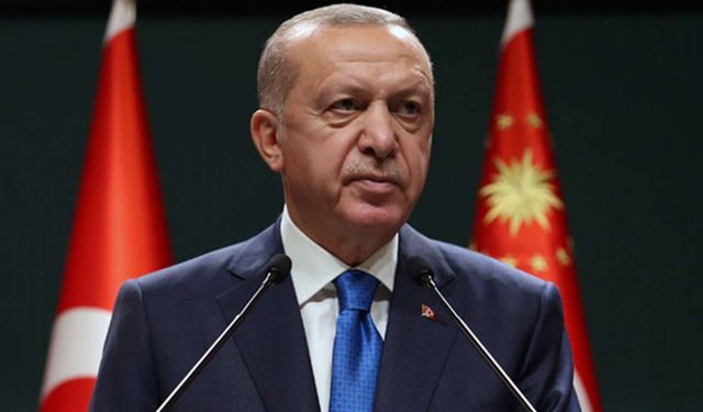 Cumhurbaşkanı Erdoğan'dan orman yangını açıklaması