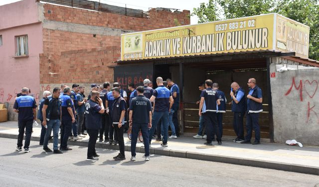Diyarbakır’da ruhsatsız hayvan satış yerleri mühürlendi
