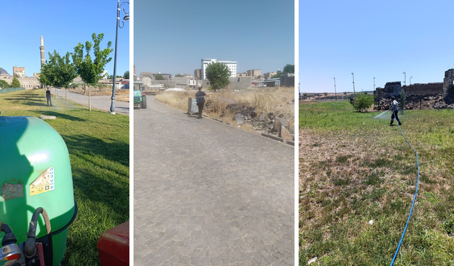 Diyarbakır Büyükşehir Belediyesi Hasırlı Mahallesi’nde ilaçlama yaptı