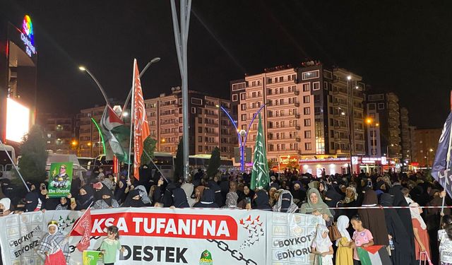 İsrail'in saldırıları Diyarbakır'da protesto edildi