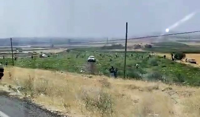 Bedava sandılar karpuz tarlasını talan ettiler