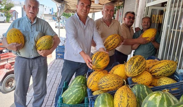 Güneydoğu'nun önemli merkezinde kavun hasadı