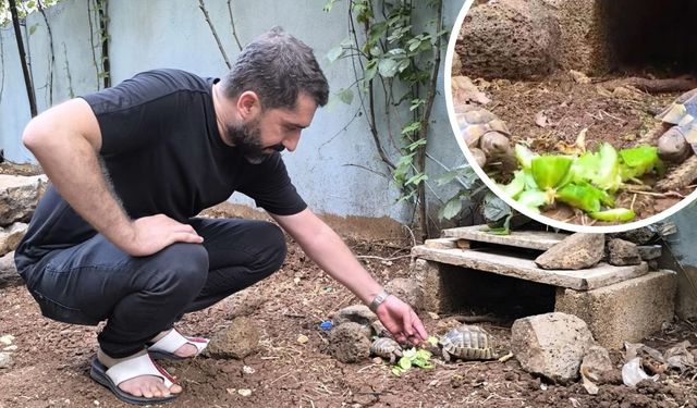 Diyarbakır'da sevindiren görüntü; Elleriyle besledi