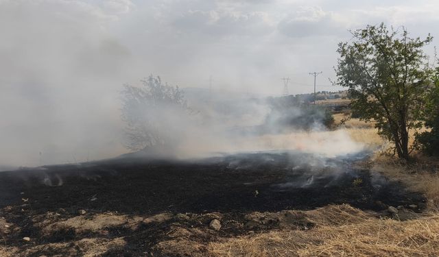 Diyarbakır Lice’de iki günde üçüncü yangın