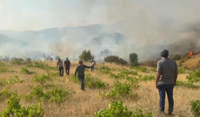Diyarbakır’da çıkan örtü yangını kontrol altına alındı