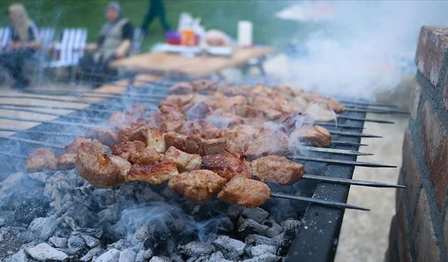 Bir ilde daha mangal yakmak yasaklandı