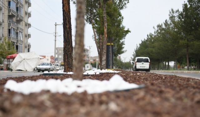 Diyarbakır Bismil’de refüjler yeni yüzüne kavuşuyor