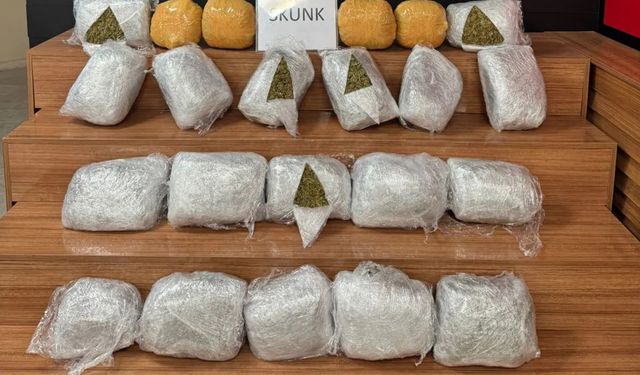 25 kilogram skunk ele geçirildi