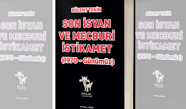 Bülent Tekin'den ‘Son İsyan ve Mecburi İstikamet’ raflarda