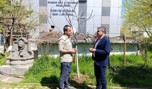 Ebedinoğlu: "Barış süreci, Diyarbakır’ın kaderini değiştirecek"