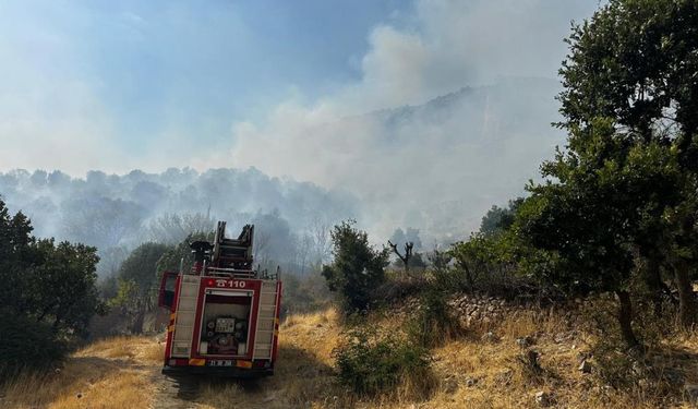 Lice'deki yangın 10 saat sonra söndürüldü