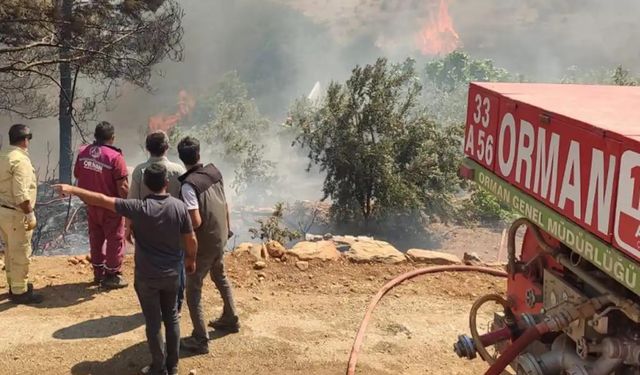 4 ildeki 5 orman yangını kontrol altında
