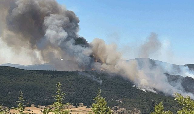 6 ilde orman yangınlarıyla mücadele devam ediyor