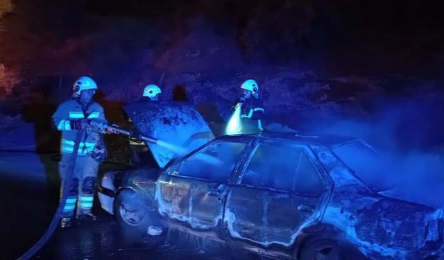 Hatay'da 2 farklı noktada çıkan yangında 2 araç yandı