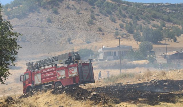 Diyarbakır'da orman yangını: Müdahale sürüyor