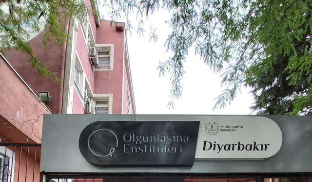 Diyarbakır Olgunlaşma Enstitüsü 45 usta öğretici alımı yapacak