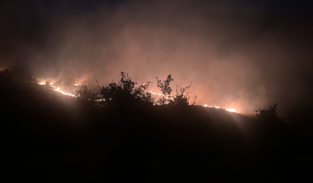 Diyarbakır Lice' de korkutan orman yangını