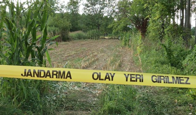 Tarlada insan kafatası ve kemikleri bulundu