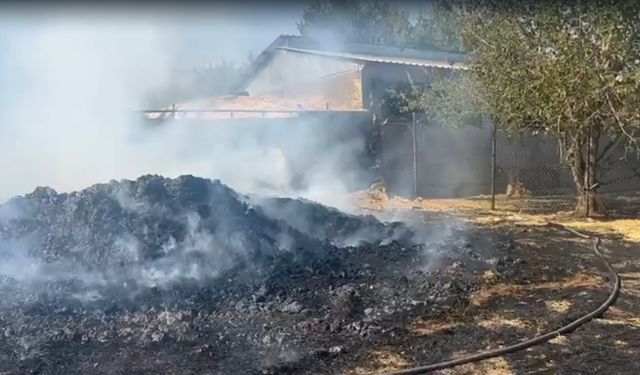 Diyarbakır Lice’de yangın yerleşim yerlerine ulaştı