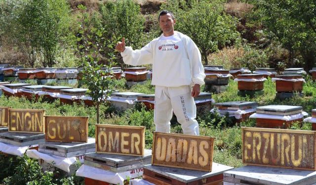 Bu şehirde arılar yazı yazıyor